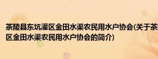 茶陵县东坑灌区金田水渠农民用水户协会(关于茶陵县东坑灌区金田水渠农民用水户协会的简介)