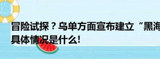 冒险试探？乌单方面宣布建立“黑海走廊” 具体情况是什么!