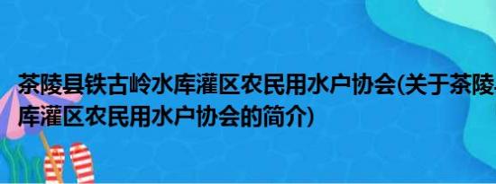 茶陵县铁古岭水库灌区农民用水户协会(关于茶陵县铁古岭水库灌区农民用水户协会的简介)