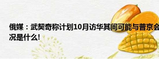 俄媒：武契奇称计划10月访华其间可能与普京会面 具体情况是什么!