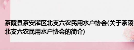 茶陵县茶安灌区北支六农民用水户协会(关于茶陵县茶安灌区北支六农民用水户协会的简介)