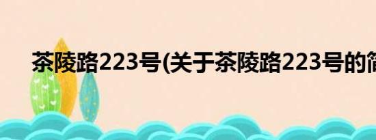 茶陵路223号(关于茶陵路223号的简介)