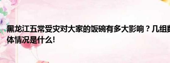 黑龙江五常受灾对大家的饭碗有多大影响？几组数据讲清 具体情况是什么!