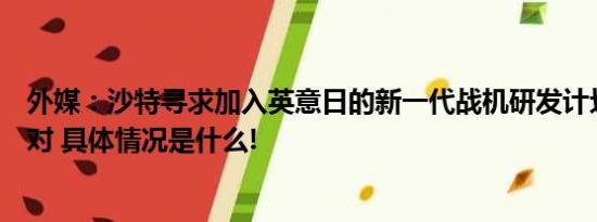 外媒：沙特寻求加入英意日的新一代战机研发计划遭日本反对 具体情况是什么!