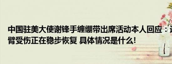 中国驻美大使谢锋手缠绷带出席活动本人回应：近日不慎手臂受伤正在稳步恢复 具体情况是什么!