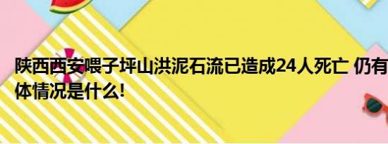 陕西西安喂子坪山洪泥石流已造成24人死亡 仍有3人失联 具体情况是什么!