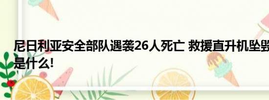 尼日利亚安全部队遇袭26人死亡 救援直升机坠毁 具体情况是什么!