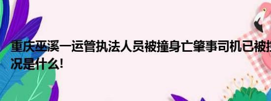 重庆巫溪一运管执法人员被撞身亡肇事司机已被控制 具体情况是什么!