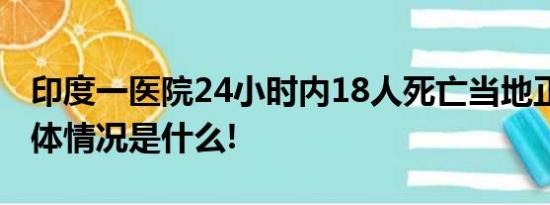 印度一医院24小时内18人死亡当地正调查 具体情况是什么!