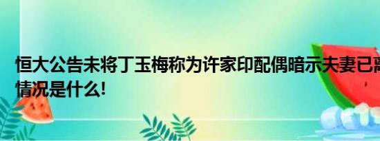 恒大公告未将丁玉梅称为许家印配偶暗示夫妻已离婚？ 具体情况是什么!