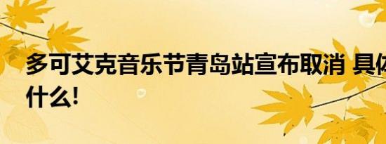 多可艾克音乐节青岛站宣布取消 具体情况是什么!