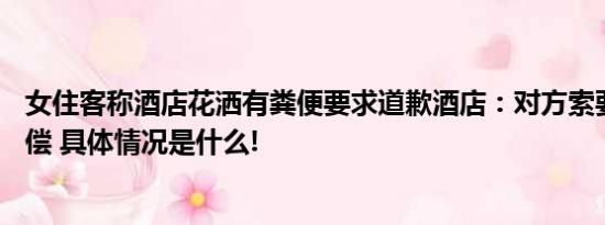 女住客称酒店花洒有粪便要求道歉酒店：对方索要10万元赔偿 具体情况是什么!