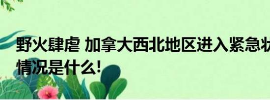 野火肆虐 加拿大西北地区进入紧急状态 具体情况是什么!