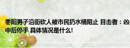 枣阳男子沿街砍人被市民扔水桶阻止 目击者：凶手被水桶砸中后停手 具体情况是什么!