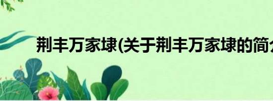 荆丰万家埭(关于荆丰万家埭的简介)