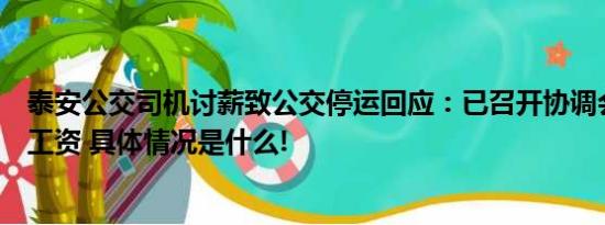 泰安公交司机讨薪致公交停运回应：已召开协调会近期发放工资 具体情况是什么!