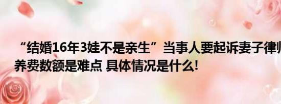 “结婚16年3娃不是亲生”当事人要起诉妻子律师：确定抚养费数额是难点 具体情况是什么!