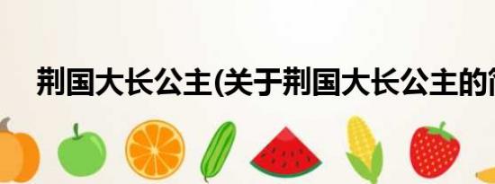 荆国大长公主(关于荆国大长公主的简介)