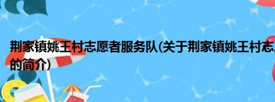 荆家镇姚王村志愿者服务队(关于荆家镇姚王村志愿者服务队的简介)