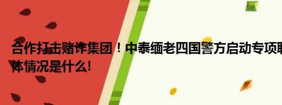 合作打击赌诈集团！中泰缅老四国警方启动专项联合行动 具体情况是什么!