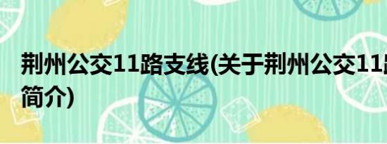 荆州公交11路支线(关于荆州公交11路支线的简介)