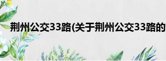 荆州公交33路(关于荆州公交33路的简介)