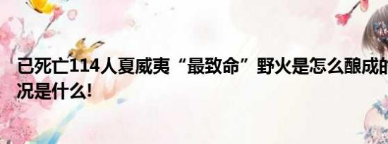 已死亡114人夏威夷“最致命”野火是怎么酿成的？ 具体情况是什么!