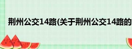 荆州公交14路(关于荆州公交14路的简介)