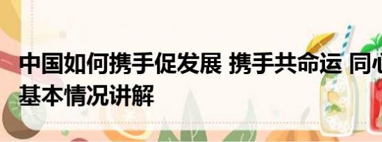 中国如何携手促发展 携手共命运 同心促发展 基本情况讲解