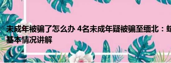 未成年被骗了怎么办 4名未成年疑被骗至缅北：蛇头仅16岁 基本情况讲解