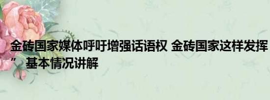 金砖国家媒体呼吁增强话语权 金砖国家这样发挥“金砖力量” 基本情况讲解