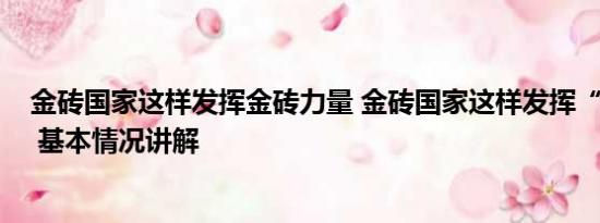 金砖国家这样发挥金砖力量 金砖国家这样发挥“金砖力量” 基本情况讲解