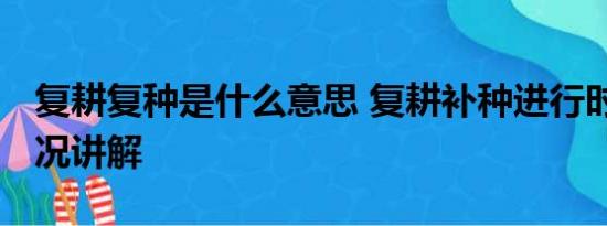 复耕复种是什么意思 复耕补种进行时 基本情况讲解