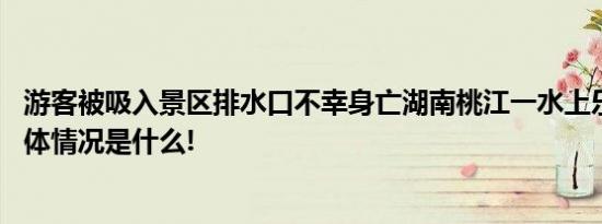 游客被吸入景区排水口不幸身亡湖南桃江一水上乐园停业 具体情况是什么!