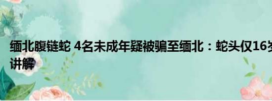 缅北腹链蛇 4名未成年疑被骗至缅北：蛇头仅16岁 基本情况讲解