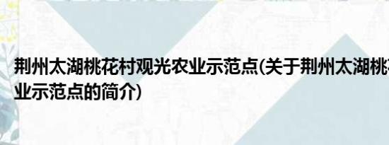 荆州太湖桃花村观光农业示范点(关于荆州太湖桃花村观光农业示范点的简介)