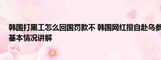 韩国打黑工怎么回国罚款不 韩国网红擅自赴乌参战被判刑 基本情况讲解