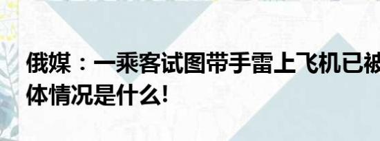 俄媒：一乘客试图带手雷上飞机已被逮捕 具体情况是什么!