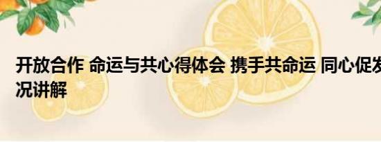 开放合作 命运与共心得体会 携手共命运 同心促发展 基本情况讲解