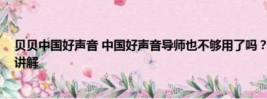 贝贝中国好声音 中国好声音导师也不够用了吗？ 基本情况讲解