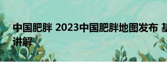 中国肥胖 2023中国肥胖地图发布 基本情况讲解