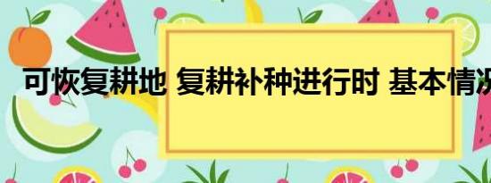 可恢复耕地 复耕补种进行时 基本情况讲解