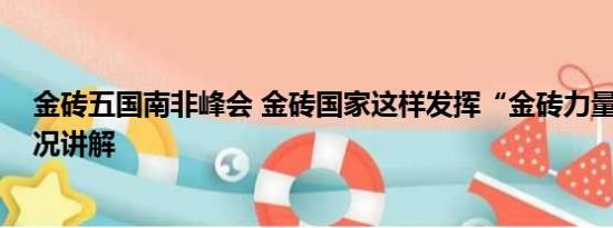 金砖五国南非峰会 金砖国家这样发挥“金砖力量” 基本情况讲解