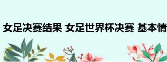 女足决赛结果 女足世界杯决赛 基本情况讲解