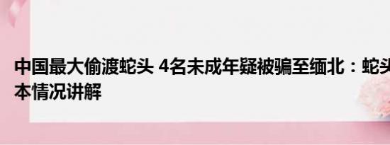 中国最大偷渡蛇头 4名未成年疑被骗至缅北：蛇头仅16岁 基本情况讲解