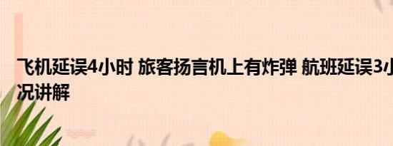 飞机延误4小时 旅客扬言机上有炸弹 航班延误3小时 基本情况讲解