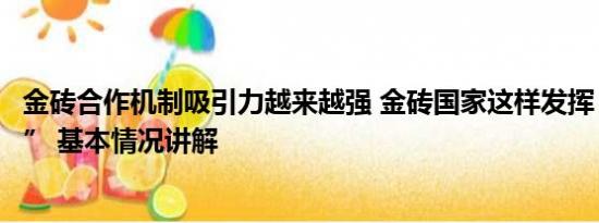 金砖合作机制吸引力越来越强 金砖国家这样发挥“金砖力量” 基本情况讲解