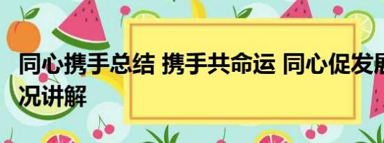 同心携手总结 携手共命运 同心促发展 基本情况讲解