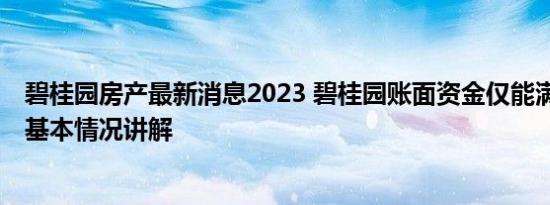 碧桂园房产最新消息2023 碧桂园账面资金仅能满足保交楼 基本情况讲解