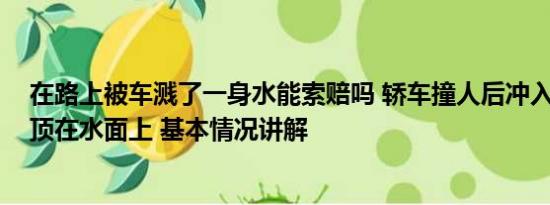 在路上被车溅了一身水能索赔吗 轿车撞人后冲入长江 仅车顶在水面上 基本情况讲解